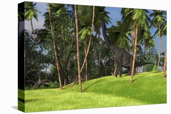Large Brachiosaurus Grazing on Palm Trees-null-Stretched Canvas
