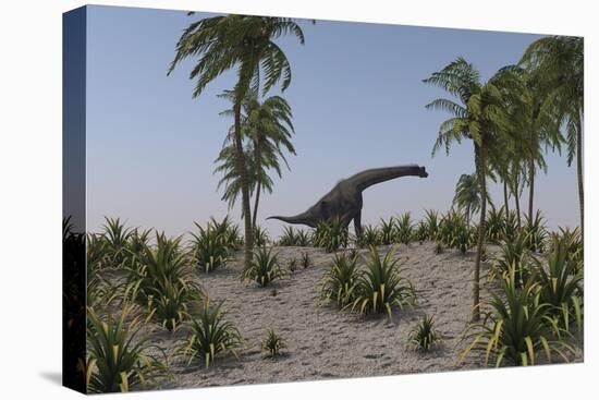 Large Brachiosaurus Grazing-null-Stretched Canvas