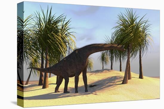 Large Brachiosaurus Grazing-null-Stretched Canvas