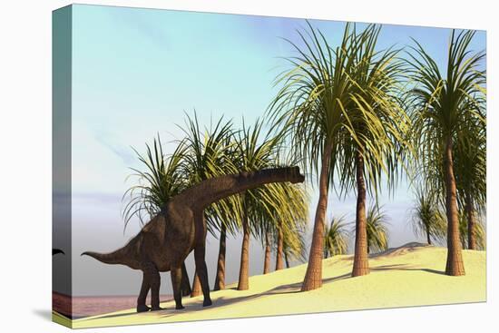 Large Brachiosaurus Grazing-null-Stretched Canvas