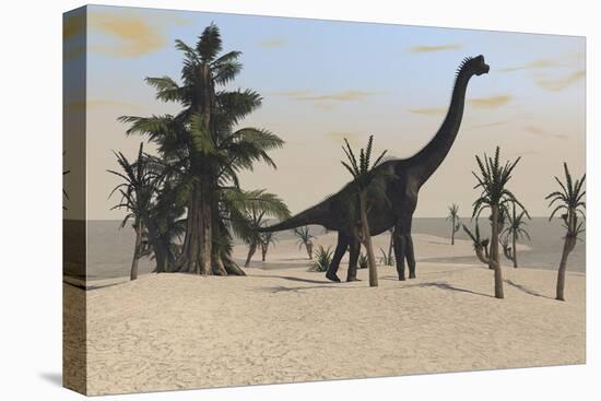 Large Brachiosaurus in a Tropical Environment-null-Stretched Canvas