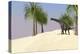 Large Brachiosaurus in a Tropical Environment-null-Stretched Canvas