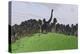 Large Brachiosaurus in an Open Field-null-Stretched Canvas