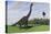 Large Brachiosaurus in an Open Field-null-Stretched Canvas