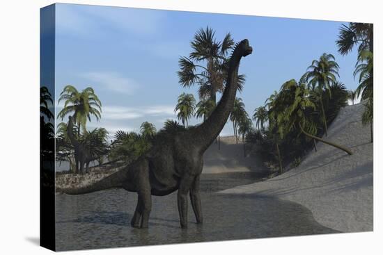 Large Brachiosaurus in Shallow Water-null-Stretched Canvas