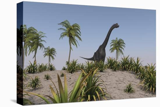 Large Brachiosaurus Roaming a Prehistoric Environment-null-Stretched Canvas