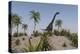 Large Brachiosaurus Roaming a Prehistoric Environment-null-Stretched Canvas