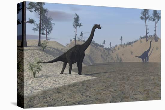 Large Brachiosaurus Roaming the Edge of a Bay-null-Stretched Canvas