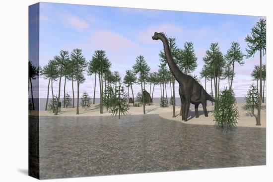 Large Brachiosaurus Standing at the Water's Edge-null-Stretched Canvas