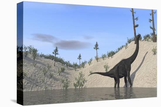 Large Brachiosaurus Standing in a Lake-null-Stretched Canvas