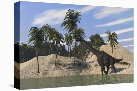 Large Brachiosaurus Walking Along the Water's Edge-null-Stretched Canvas