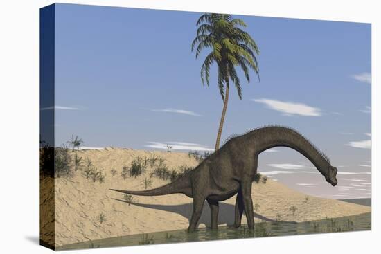 Large Brachiosaurus Walking Along the Water's Edge-null-Stretched Canvas