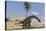 Large Brachiosaurus Walking Along the Water's Edge-null-Stretched Canvas