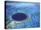 Large Coral Reefs off the Coast of Belize-Greg Johnston-Premier Image Canvas