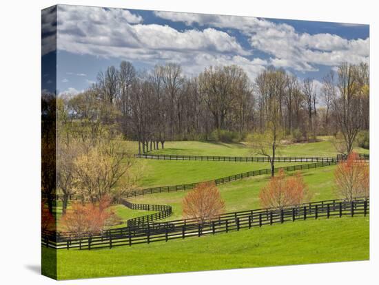 Large Field and Fence Line in Louisville, Kentucky, Usa-Adam Jones-Premier Image Canvas