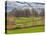 Large Field and Fence Line in Louisville, Kentucky, Usa-Adam Jones-Premier Image Canvas