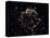 Large Magellanic Cloud-Stocktrek Images-Premier Image Canvas