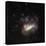 Large Magellanic Cloud-Eckhard Slawik-Premier Image Canvas