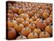 Large Number of Pumpkins for Sale on a Farm in St. Joseph, Missouri, USA, North America-Simon Montgomery-Premier Image Canvas