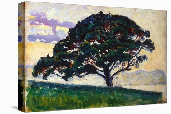 Large Pine, Saint-Tropez, 1892-1893-Paul Signac-Premier Image Canvas