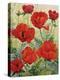 Large Red Poppies-Christopher Ryland-Premier Image Canvas