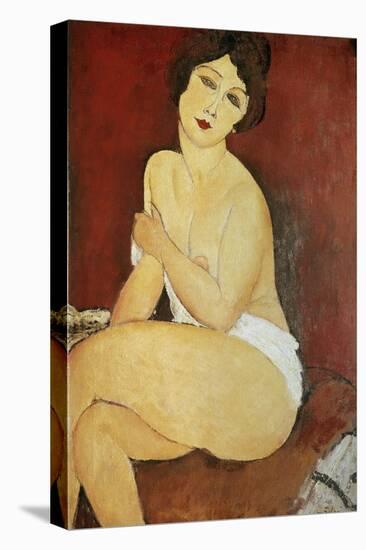 Large Seated Nude by Amedeo Modigliani-null-Premier Image Canvas