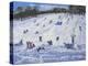 Large Snowman, Chatsworth, 2012-Andrew Macara-Premier Image Canvas