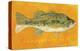Largemouth Bass-John Golden-Stretched Canvas