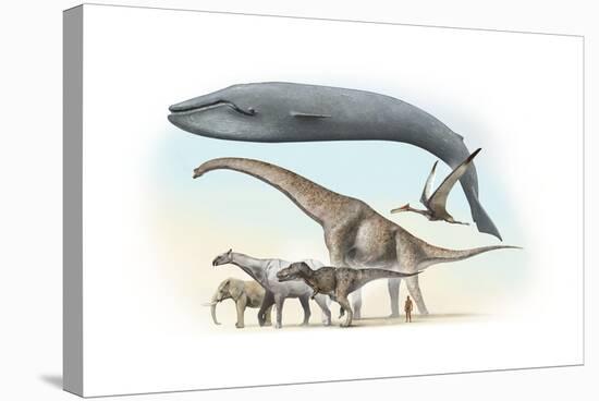Largest Animals Size Comparison-Jose Antonio-Premier Image Canvas