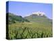 Largest Ruined Castle in Slovakia, Spis Castle, Unesco World Heritage Site, Presov Region-Richard Nebesky-Premier Image Canvas