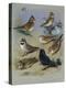 Larks-Archibald Thorburn-Premier Image Canvas