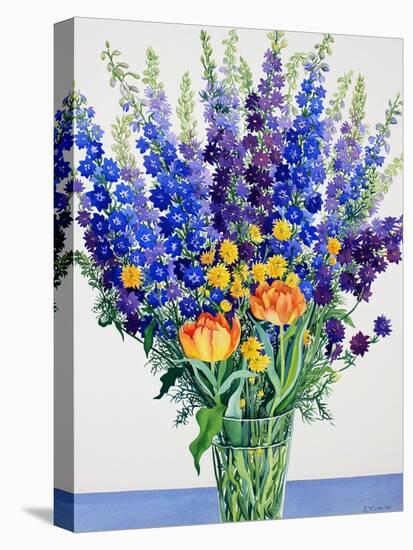 Larkspur and Delphiniums-Christopher Ryland-Premier Image Canvas