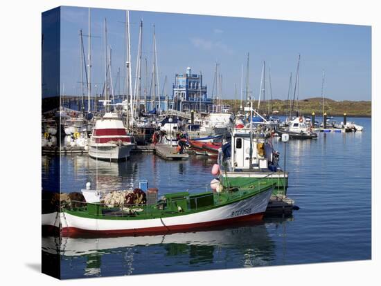 Las Galletas, Tenerife, Canary Islands, Spain, Atlantic, Europe-Jeremy Lightfoot-Premier Image Canvas