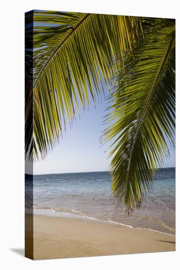 Las Terrenas, Samana Peninsula, Dominican Republic, West Indies, Caribbean, Central America-Angelo Cavalli-Premier Image Canvas