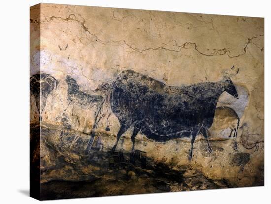 Lascaux Cave Drawing Depicting Steer, Circa 15,000 BC-Ralph Morse-Premier Image Canvas