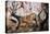 Lascaux: Running Deer-null-Premier Image Canvas