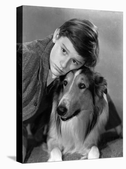 Lassie Come Home, Roddy McDowall, Lassie, 1943-null-Stretched Canvas