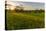 Last Light in a Hay Field in Epping, New Hampshire-Jerry and Marcy Monkman-Premier Image Canvas