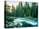 Last Light In Sequoia National Park-Daniel Kuras-Premier Image Canvas