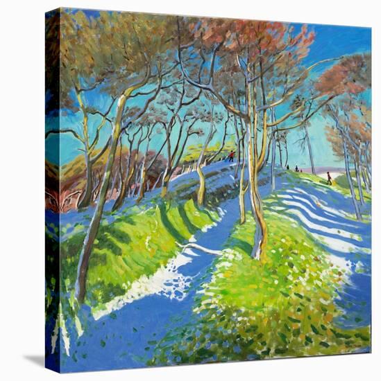 Last of the Snow, Ladmanlow, 2015-Andrew Macara-Premier Image Canvas