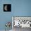 Last Quarter Moon-Eckhard Slawik-Premier Image Canvas displayed on a wall