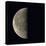 Last Quarter Moon-Eckhard Slawik-Premier Image Canvas