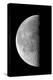 Last Quarter Waning Moon-null-Premier Image Canvas