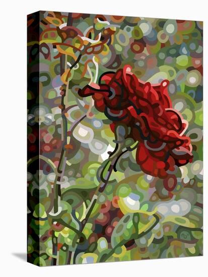 Last Rose of Summer-Mandy Budan-Premier Image Canvas