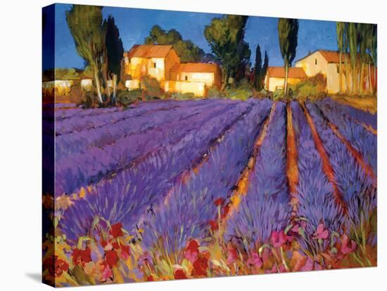 Late Afternoon, Lavender Fields-Philip Craig-Stretched Canvas