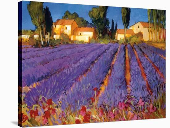 Late Afternoon, Lavender Fields-Philip Craig-Stretched Canvas