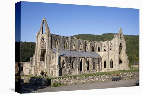 Late afternoon view of South and West sides of Tintern Abbey, Monmouthshire, Wales-Julian Pottage-Premier Image Canvas