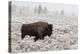 Late Fall Yellowstone-Alfred Forns-Premier Image Canvas