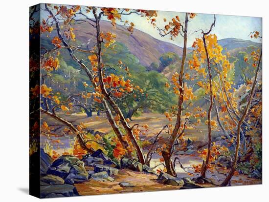 Late Fall-Anna Hills-Stretched Canvas