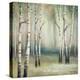 Late September Birch I-Michael Marcon-Stretched Canvas